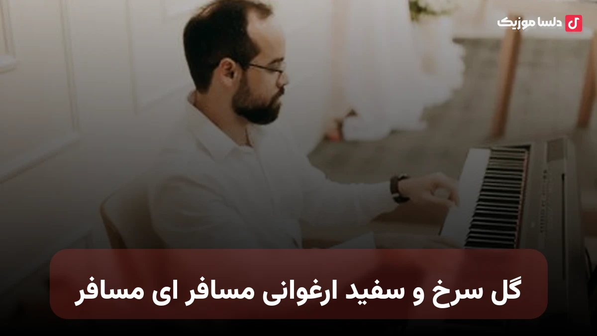 گل سرخ و سفید ارغوانی مسافر ای مسافر